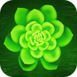 程序图标: Green Wallpaper HD