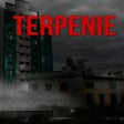プログラムのアイコン: Terpenie