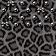 Ikona programu: Silver Leopard for[+]HOME