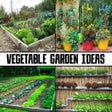 プログラムのアイコン: Vegetable Garden Ideas