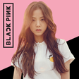 プログラムのアイコン: Which BLACKPINK member ar…