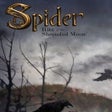 Icon of program: Spider: Rite of the Shrou…