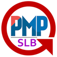 Icon des Programms: Instrumen EDS SLB