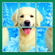 Icono de programa: Jigblock: Solitaire Puzzl…