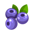 Icon des Programms: Fruits Flip