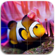 Icon of program: Marine Life Puzzle