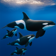 Icon des Programms: Orca Hunter: Killer Whale…