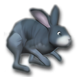 プログラムのアイコン: 3D Desktop Bunny Rabbits …