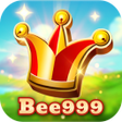 プログラムのアイコン: bee999ice