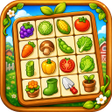 程序图标: Farm Link Puzzle