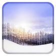 Programmsymbol: Snowy Winter