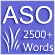 Icona del programma: Antonym synonym and oneWo…