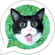 Icon of program: Sticker Creator WASticker…