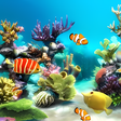 プログラムのアイコン: aquarium 4k live wallpape…