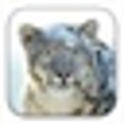 プログラムのアイコン: Snow Leopard Mac OS X 10.…