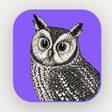 Icon des Programms: FilmC…