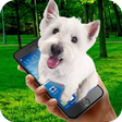 Ikona programu: Virtual dog in phone