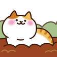 Icon of program: Field of Cats