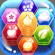 程序图标: Stackagon: Hexa Puzzle
