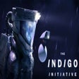 Icon des Programms: The INDIGO Initiative