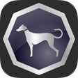 Icon des Programms: Sighthound Video