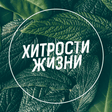 Icon des Programms: Хитрости Жизни