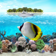 Icono de programa: Tropical Ocean Wallpaper …