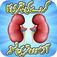 Programmsymbol: Kidney Stone Treatment Re…