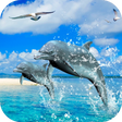 プログラムのアイコン: Dolphins 3D Video Wallpap…