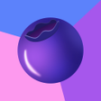 プログラムのアイコン: Blueberry VPN