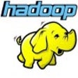 プログラムのアイコン: Apache Hadoop