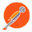 Icon of program: Postman