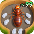 Icon des Programms: Ant Kingdom: Survival War