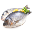 Ikona programu: Fish Recipes