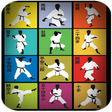 Programmsymbol: Shotokan Karate Katas