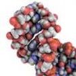 程序图标: PyMOL
