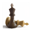 Icono de programa: Bluetooth Chessboard