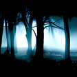 Icona del programma: Slender's Woods