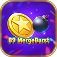 プログラムのアイコン: B9MergeBurst