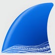 程序图标: Wireshark