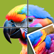 Icon des Programms: Jigpuzzle AMSR