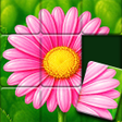 Icon des Programms: Jigsort Puzzle: Solitaire…