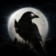 Icône du programme : NIGHT CROWS