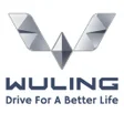 Icon des Programms: Wuling Sales Assistance