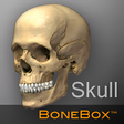 プログラムのアイコン: BoneBox - Skull Viewer