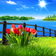 程序图标: Spring Live Wallpaper