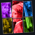Icon des Programms: PictoLand