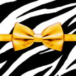 Icon des Programms: Zebra Ribbon Wallpaper