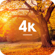 Ikona programu: Autumn Wallpapers in 4K