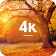 Icon des Programms: Autumn Wallpapers in 4K